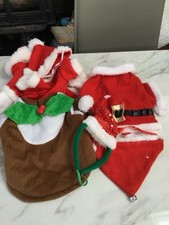 Dog puppy christmas for sale Dog puppy christmas for sale  CHESTERFIELD