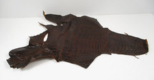 Authentic alligator skin for sale  Sebastopol