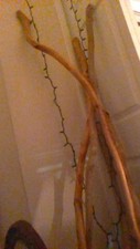 Walking stick wood for sale  Alexandria