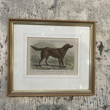 Coloured engraved print for sale  BRIDGEND