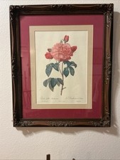 Beautiful rose pictures for sale  Prescott