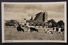 Verden, Aller, Dom, Pastwisko Krowy - 425106 na sprzedaż  Wysyłka do Poland