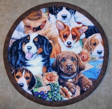 Round puppies dogs for sale  Lady Lake