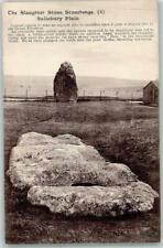 39437506 stonehenge thr gebraucht kaufen  Deutschland