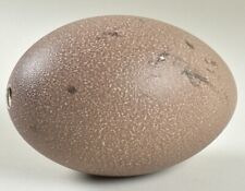 Large emu egg for sale  Mc Leansville