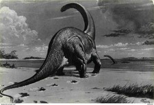 Animals prehistoric animals d'occasion  Expédié en Belgium