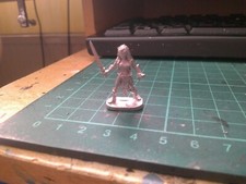 Elf female thief for sale  EASTBOURNE
