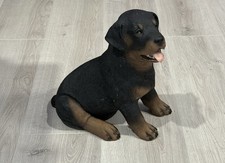 Realistic rottweiler puppy for sale  Louisville