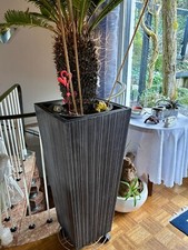 Pflanzkübel edel fiberglas gebraucht kaufen  Weinheim