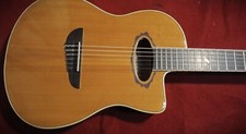 Eko guitars nxt usato  Quartu Sant Elena
