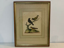 1763 etching for sale 1763 etching for sale Saint Louis