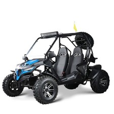 Buggy kinderbuggy strandbuggy gebraucht kaufen  Ammerthal