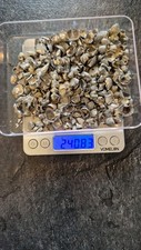 Zahngold dentalschrott weiß gebraucht kaufen  Hanau