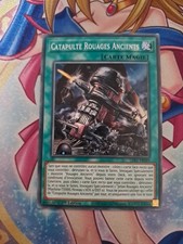Catapulte rouages ancients d'occasion  Pineuilh