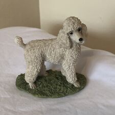 white poodle for sale  LINCOLN