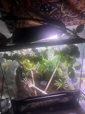 Gallon reptile tank for sale  Graham