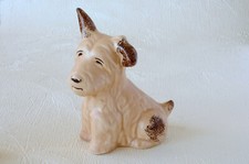 mongrel dogs for sale mongrel dogs for sale HULL