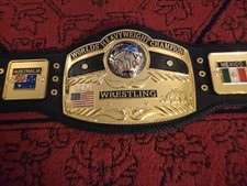 Official nwa domed for sale  Renton