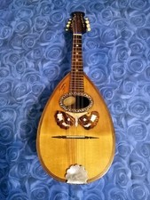 Mandolino napoletano luciani usato  Avezzano