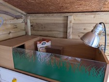 Tortoise hide house for sale  MANCHESTER