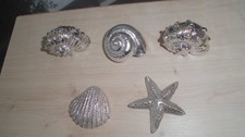 Muscheln 1 seestern gebraucht kaufen  Annweiler am Trifels