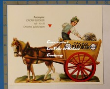 Cacao blooker illustration d'occasion  Cologne