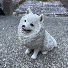 Sandicast american eskimo for sale  Raynham