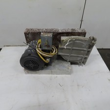 cinto de pinto comprar usado  Enviando para Brazil