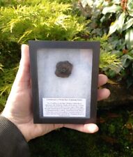 Natural colombianite 14g for sale  WREXHAM