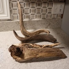 Driftwood pieces beach for sale  Ontonagon