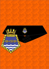 Rfa reliant embroidered for sale  LISKEARD