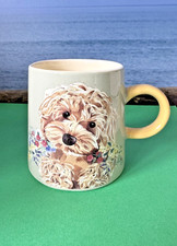 Next charlie cockapoo for sale  POOLE