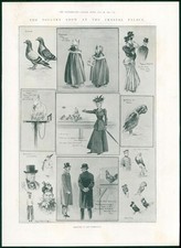 1901 antique print for sale  ASHFORD