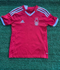 Nottingham forest 2014 for sale  BIGGLESWADE