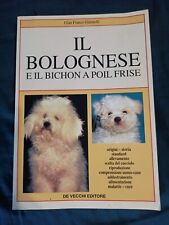 Giannelli bolognese bichon usato  Gragnano