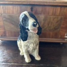 Seated blue roan for sale  ORMSKIRK