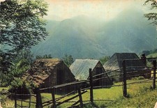 Bagneres bigorre bergers d'occasion  Expédié en Belgium