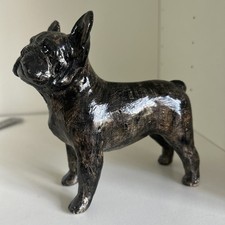 french bulldog for sale french bulldog for sale KIDDERMINSTER