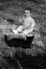 Lote de (4) Negativos Fotográficos Originais 35mm MOTHER COMFORTS CAT-FEARING CHILD da década de 1970 comprar usado  Enviando para Brazil