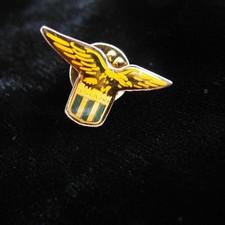 Vintage 80s spilla usato  Torino