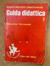 Guida didattica classe usato  Palermo