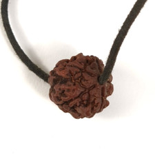 Rudraksha necklace handmade. for sale  Williamsburg