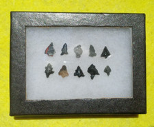 Petite calapooya related for sale  Allyn