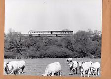 1990 railway photo for sale  ROSSENDALE