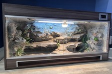 Custom vivarium bearded for sale  SIDCUP