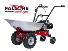 Motocarriola eurosystems carry usato  Casapesenna