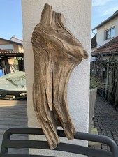 Treibholz baumteil toller gebraucht kaufen  Rheinmünster