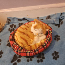 Realistic sleeping cat for sale  OBAN