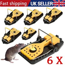 Large rat catching for sale  NORTHAMPTON