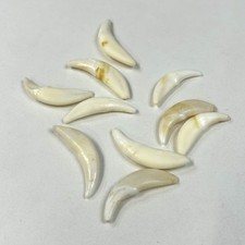 Lot assorted coyote for sale  Waseca